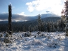 04 Overlooking Yuba River canyon